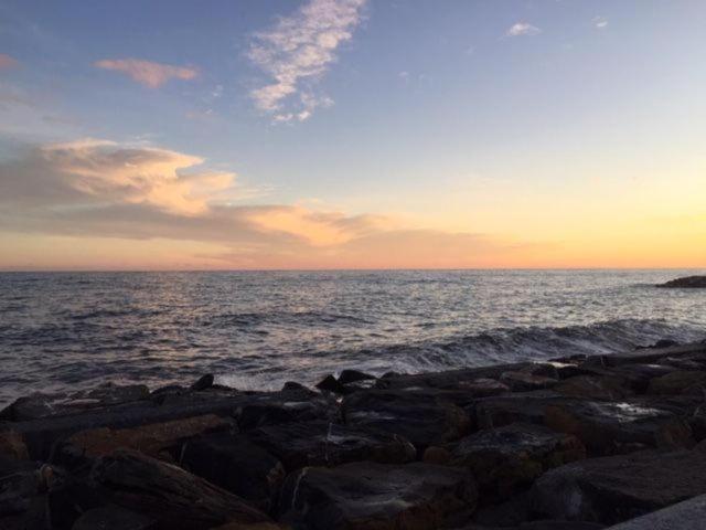 Petit Avec Classe Sanremo Esterno foto