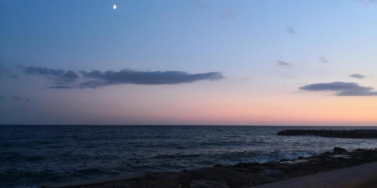 Petit Avec Classe Sanremo Esterno foto