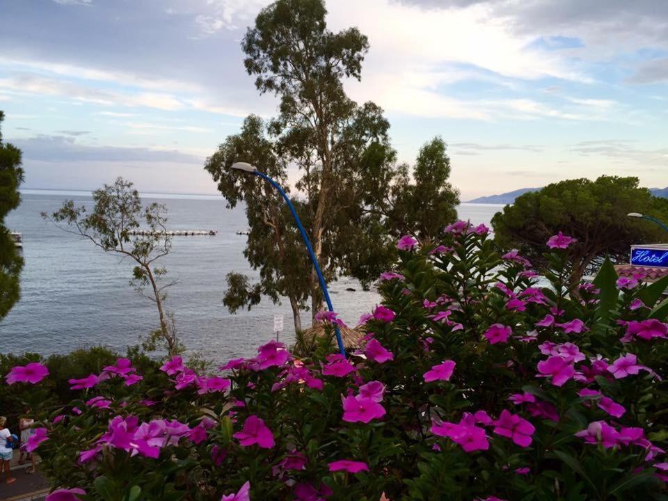 Petit Avec Classe Sanremo Esterno foto